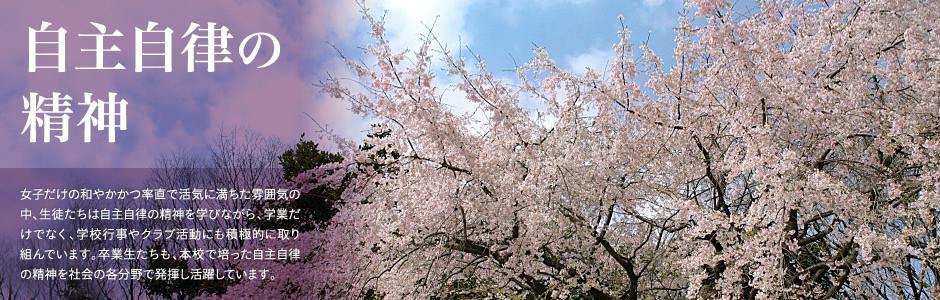 贝博bb亚太狼堡